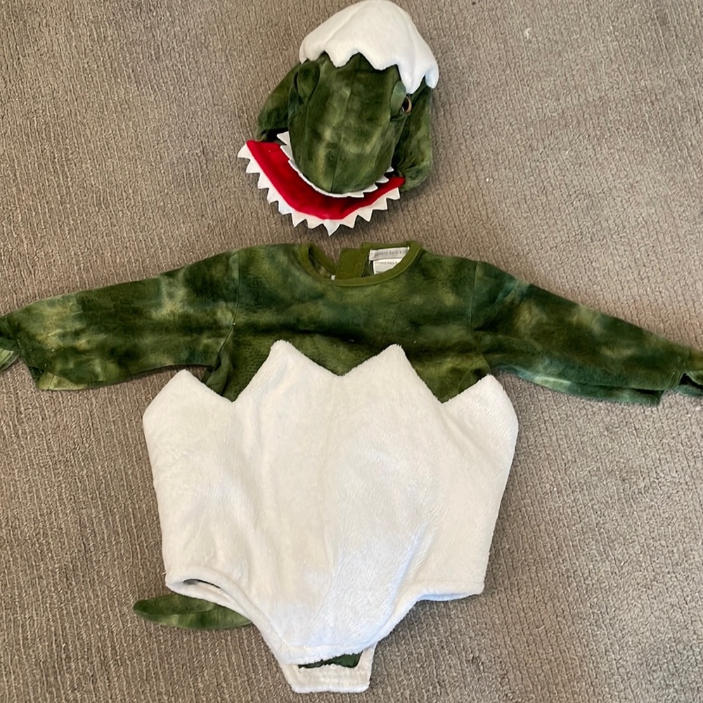 Pottery Barn Kids Green and White Dinosaur Costume